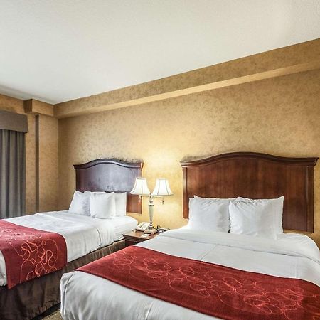 Comfort Suites Alamo-River Walk Σαν Αντόνιο Εξωτερικό φωτογραφία