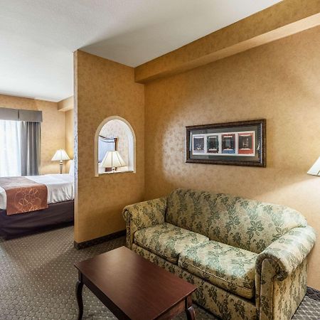 Comfort Suites Alamo-River Walk Σαν Αντόνιο Εξωτερικό φωτογραφία