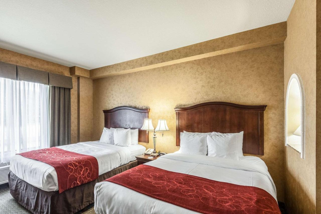 Comfort Suites Alamo-River Walk Σαν Αντόνιο Εξωτερικό φωτογραφία